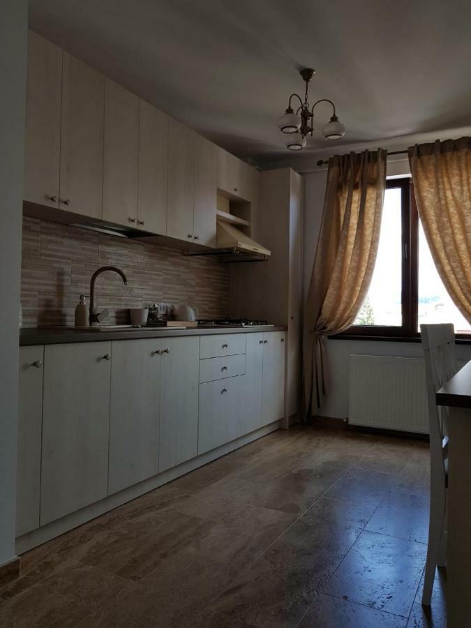 Apartament 2 Camere Ultracentral Râmnicu Vâlcea Εξωτερικό φωτογραφία